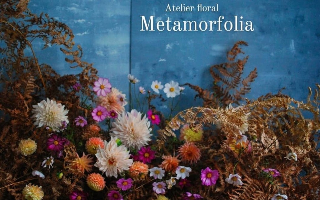 Atelier composition Metamorfolia