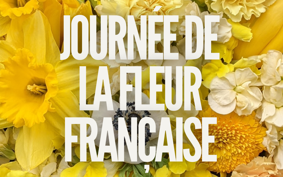 Journée de la fleur française 2022 – On vous en dit plus sur les fermes florales !